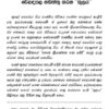 කොට උඩ ඇත්තන්ගේ අලකලංචිය - Image 3