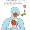 COVID-19 Awareness [Booklet - Sinhala] - Image 9