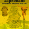 Thirty Shades Of Taprobane