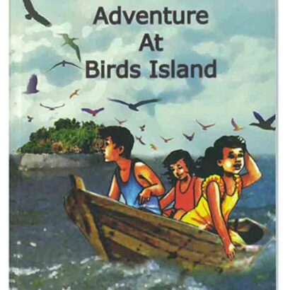 Adventure At Birds Island