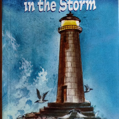 Lighthouse in the Storm