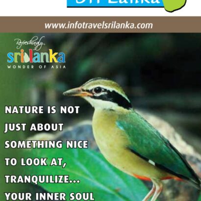 Info Travel Sri Lanka  [12th Edition]